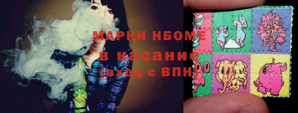 шишки Вяземский